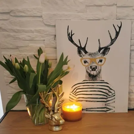 Apartamento Delux Jelonka