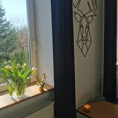 Delux Jelonka Apartamento *