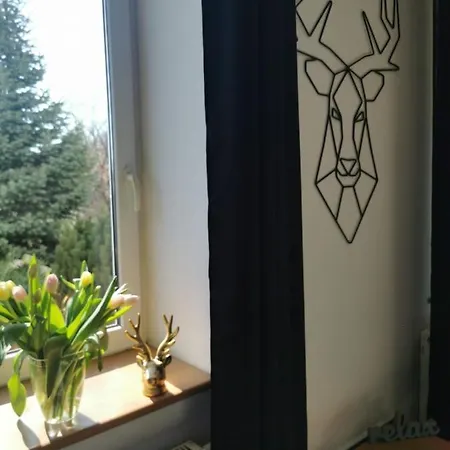 Apartamento Delux Jelonka *