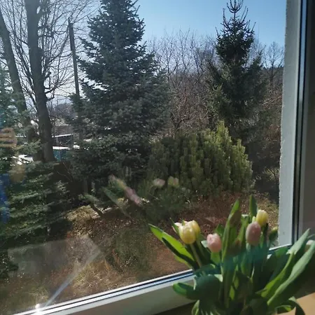 Delux Jelonka Jelenia Góra